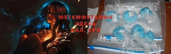 шишки Сосновый Бор