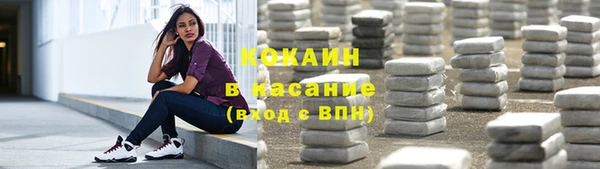 прущие грибы Тутаев