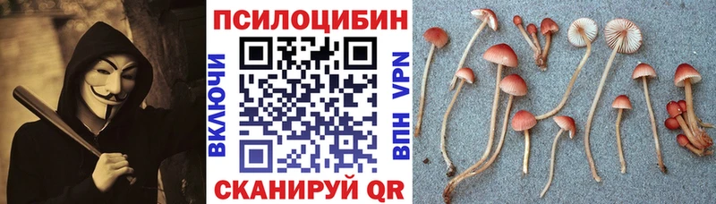 ОМГ ОМГ сайт  Харабали  Галлюциногенные грибы MAGIC MUSHROOMS 