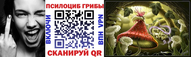 Псилоцибиновые грибы Psilocybe Харабали